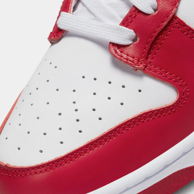 Dunk Low Retro Mens Lifestyle Shoes (Gym Red)